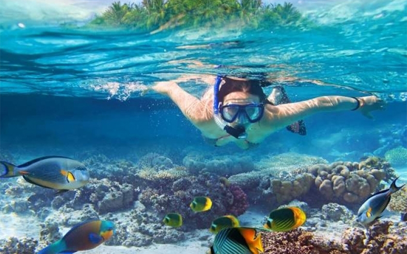 Private Snorkeling Boat Trip in Hurghada